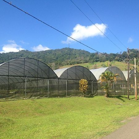 Parador Villas Sotomayor Adjuntas Εξωτερικό φωτογραφία