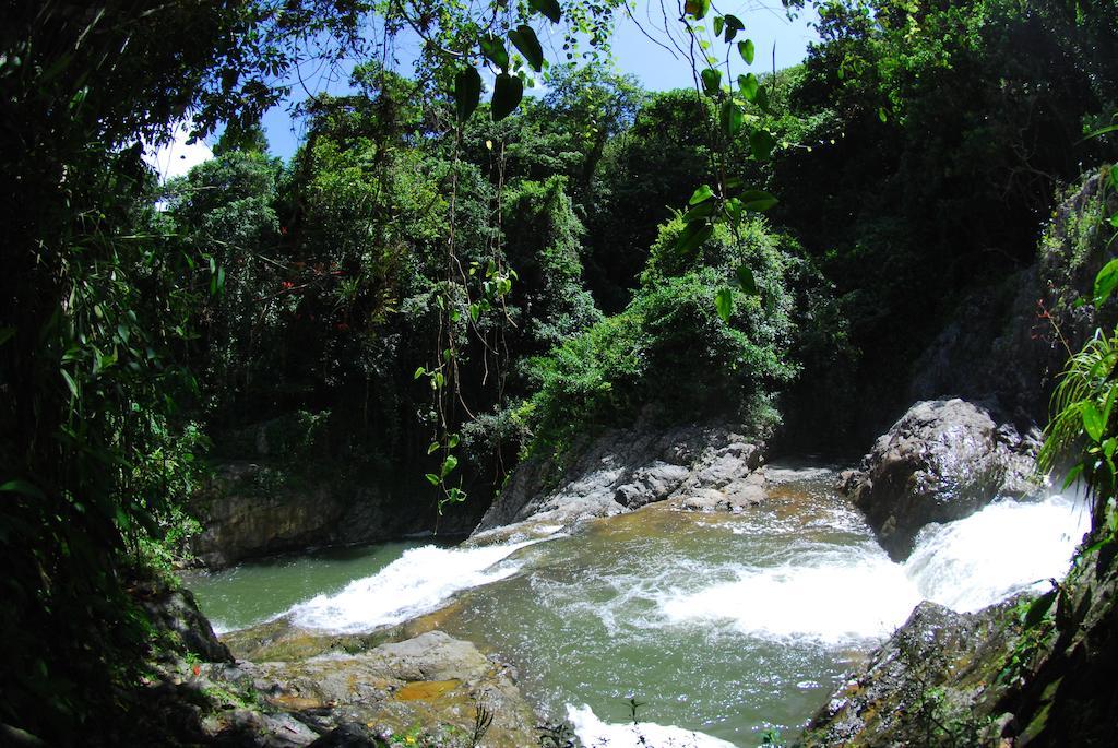 Parador Villas Sotomayor Adjuntas Εξωτερικό φωτογραφία