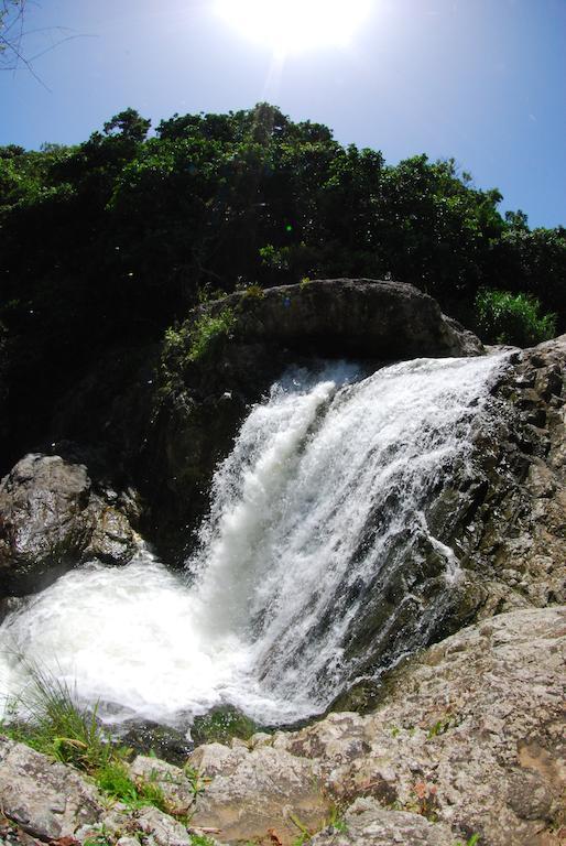 Parador Villas Sotomayor Adjuntas Εξωτερικό φωτογραφία