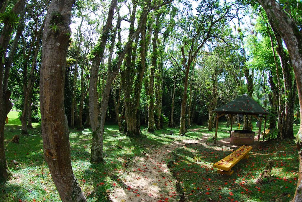 Parador Villas Sotomayor Adjuntas Εξωτερικό φωτογραφία